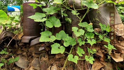 20151228 中国NO.1 马口窑：被遗忘的民间陶器