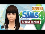 양띵 [좀 더 다양한 인생을 살아볼까? 양띵의 심즈 4 확장팩 플레이! 1편] THE SIMS 4