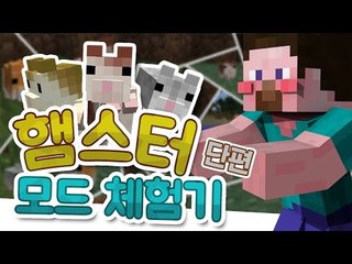 양띵 [너무 귀여운 모드를 찾았어요! 양띵의 '햄스터 모드' 체험기! *단편*] 마인크래프트 Hamsterrific Mod