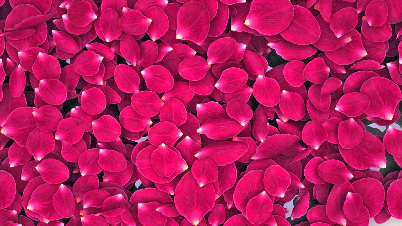 Love Star - 3D Love Star Animated Logo First Look | Animation Video