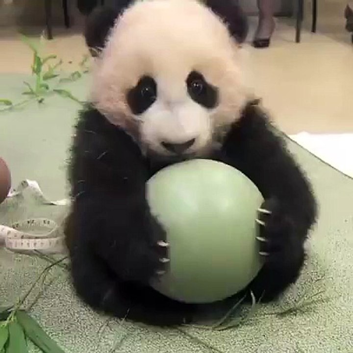 He's not into sharing