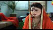 Ek Thi Misaal » Hum Tv » Episode	31	»  28th December 2015 » Pakistani Drama Serial