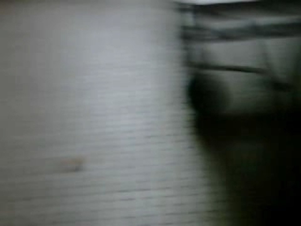 Pinog pong en chanson