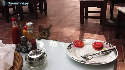 Дерзкое ограбление на кухне