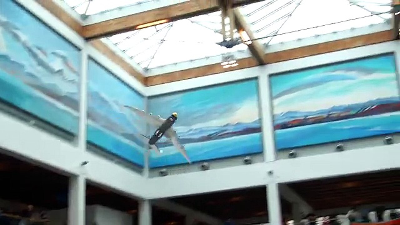 ANTONOV AN 225 MRIYA & BURAN LIGHTWEIGHT RC SCALE MODEL INDOOR FLIGHT / Faszination Modell