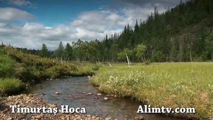 Timurtaş hoca - Namazda kadınlar nasıl tekbir alırlar?