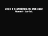 Sisters in the Wilderness: The Challenge of Womanist God-Talk [Download] Full Ebook