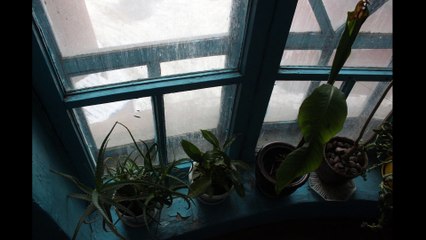 Фотография - Эхо подъездов - Василина Чабусова