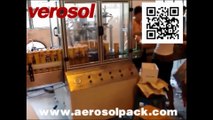 Automatic Aerosol Filling Machine with Semi Automatic Big Cap Pressing Machine From Verosol