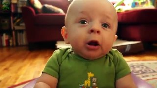 Top 10 Funny Baby Videos 2016