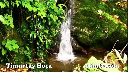 İslamı yaşayabiliyor muyuz? - Timurtaş Hoca