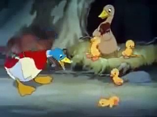 Tom And Jerry Cartoon The Ugly Duckling
