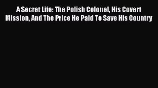 A Secret Life: The Polish Colonel His Covert Mission And The Price He Paid To Save His Country