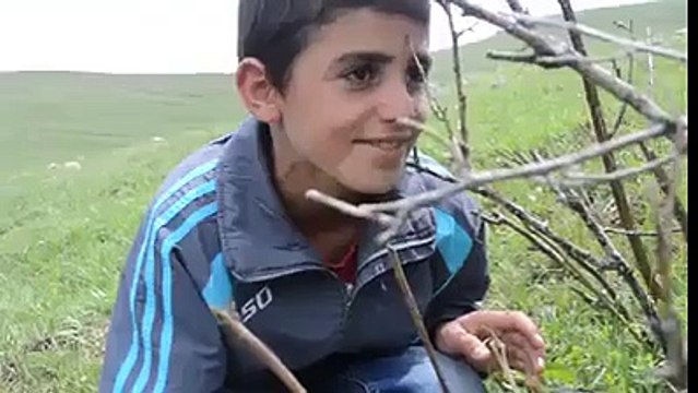 eşşeği saldım çayıra şarkısına klip çeken çocuklar