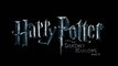 07 - The Will - Harry Potter and the Deathly Hallows Soundtrack (Alexandre Desplat)