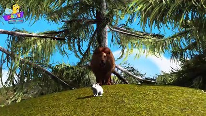 Top Animals Cartoons Finger Family Collection | Animals Finger Family Rhymes for Children