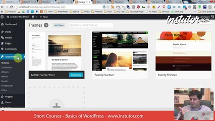 14 - WordPress themes and Appearance