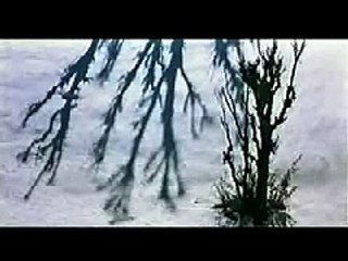 مانی برای مستی اسبها / Demek Jibo Hespên Serxweş (A Time For Drunken Horses / Sarhoş Atlar Zamanı) - Trailer Bahman Ghobadi, Ayoub Ahmadi, Rojin Younessi, Amaneh Ekhtiar-dini