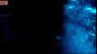 Amazing and weird creatures exhibit bioluminescence - Blue Planet - BBC Earth
