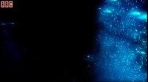 Amazing and weird creatures exhibit bioluminescence - Blue Planet - BBC Earth