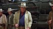 John Wayne Westerns Collection: The Train Robbers Orders