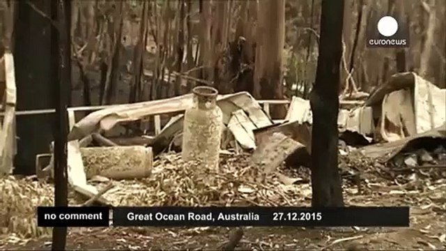 Rescuers nurse cute koala after bushfires hit southern Australia