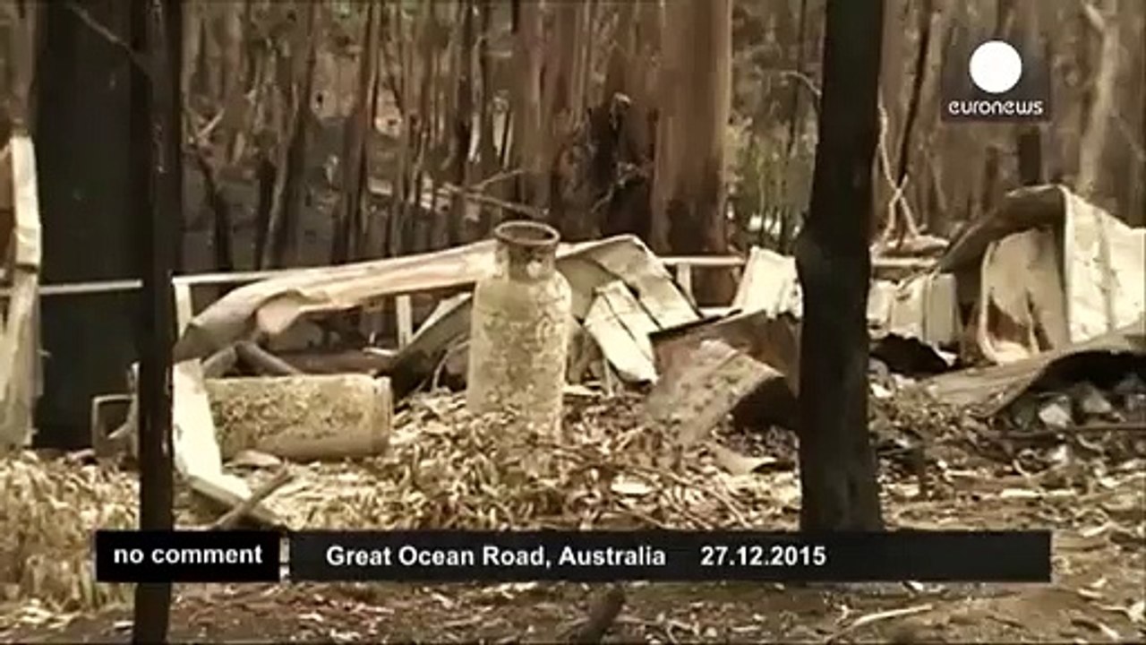 Rescuers nurse cute koala after bushfires hit southern Australia