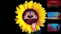 Jake Neverland Pirates Playset Toys Episode Fireman Sam Peppa Pig English Little Sunflowers