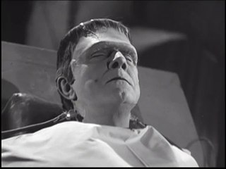 Dracula (1931) COMMENTARY