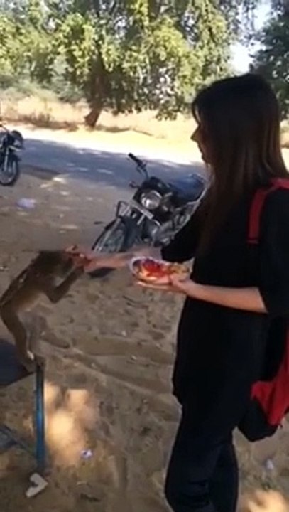 Funny Videos of Wats App - Monkey Vs. Beautiful Girl