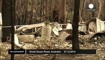 Rescuers nurse cute koala after bushfires hit southern Australia