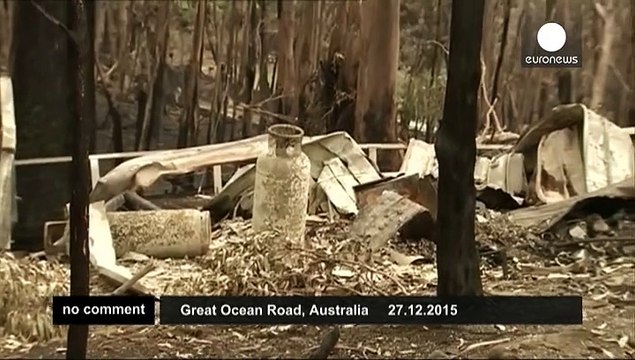 Rescuers nurse cute koala after bushfires hit southern Australia