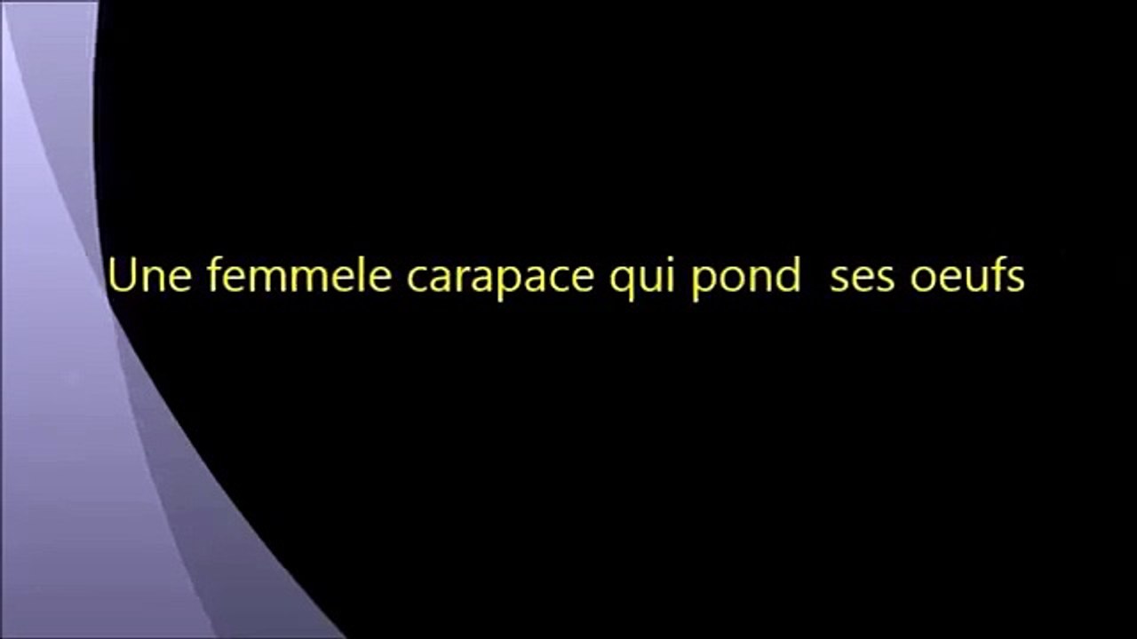 Les cochenille a carapaces