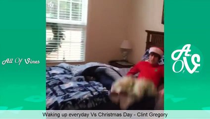 Funny Vines December 2015 Vine Compilation (Part 3)  Funniest Vines