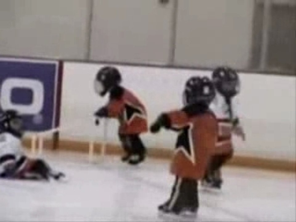 Junior hockey fight