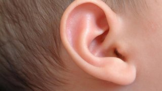 Ear recive a voice prosess