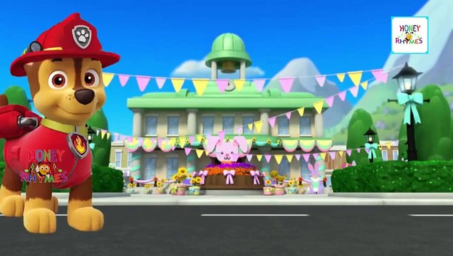 Paw Patrol Cartoon Nursery Finger Family Rhymes For Children | Paw Patrol | Finger Family