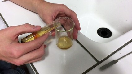 Vidéo expérience n°2 : séparation du contenu de la solution