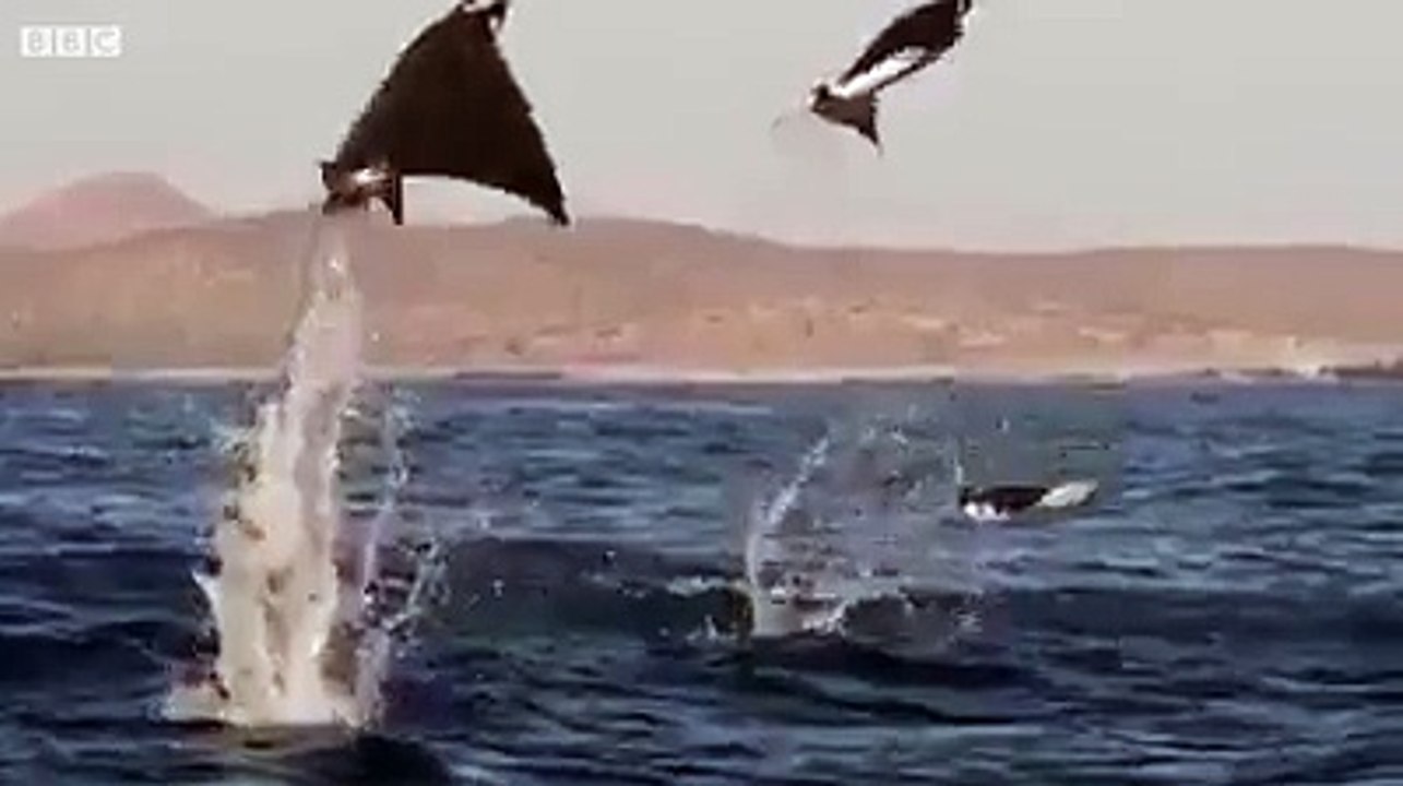 SubhanALLAH :)