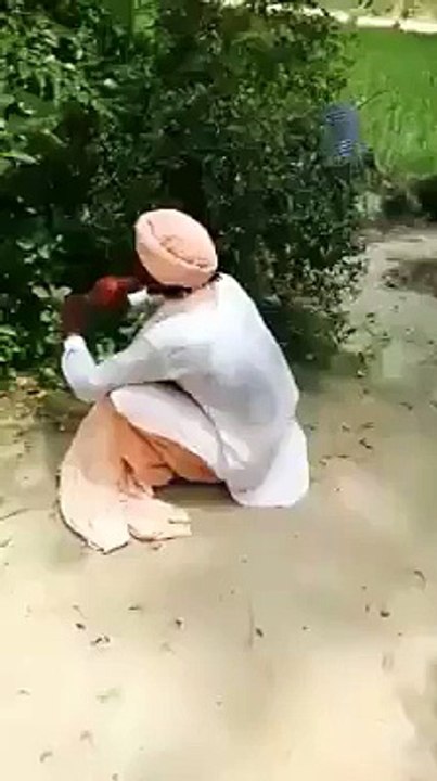entertainment