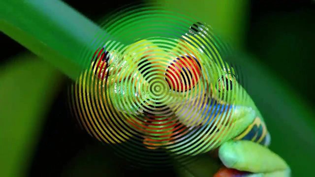 Liên Khúc Nhạc Thiếu Nhi Remix Hay Nhất 2015