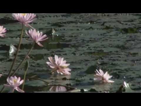 Oru kodi..Hits of kester non stop | Christian Devotional Songs | Jino Kunnumpurath | Zion Classics |