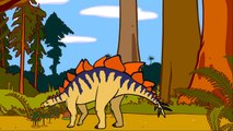 Stégosaure Le Dictionnaire sur les dinosaures Dessin ANM éducatif vidéo