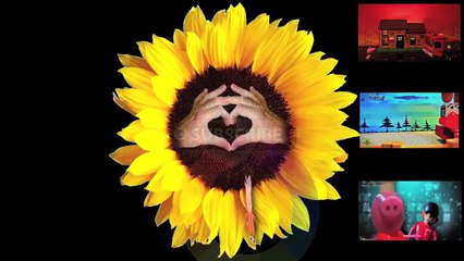 New Peppa Pig Episode English Peppa Pig Playset Toy Review Kinder Surprise Egg Little Sunflowers