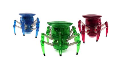 Así son las Arañas Hexebug