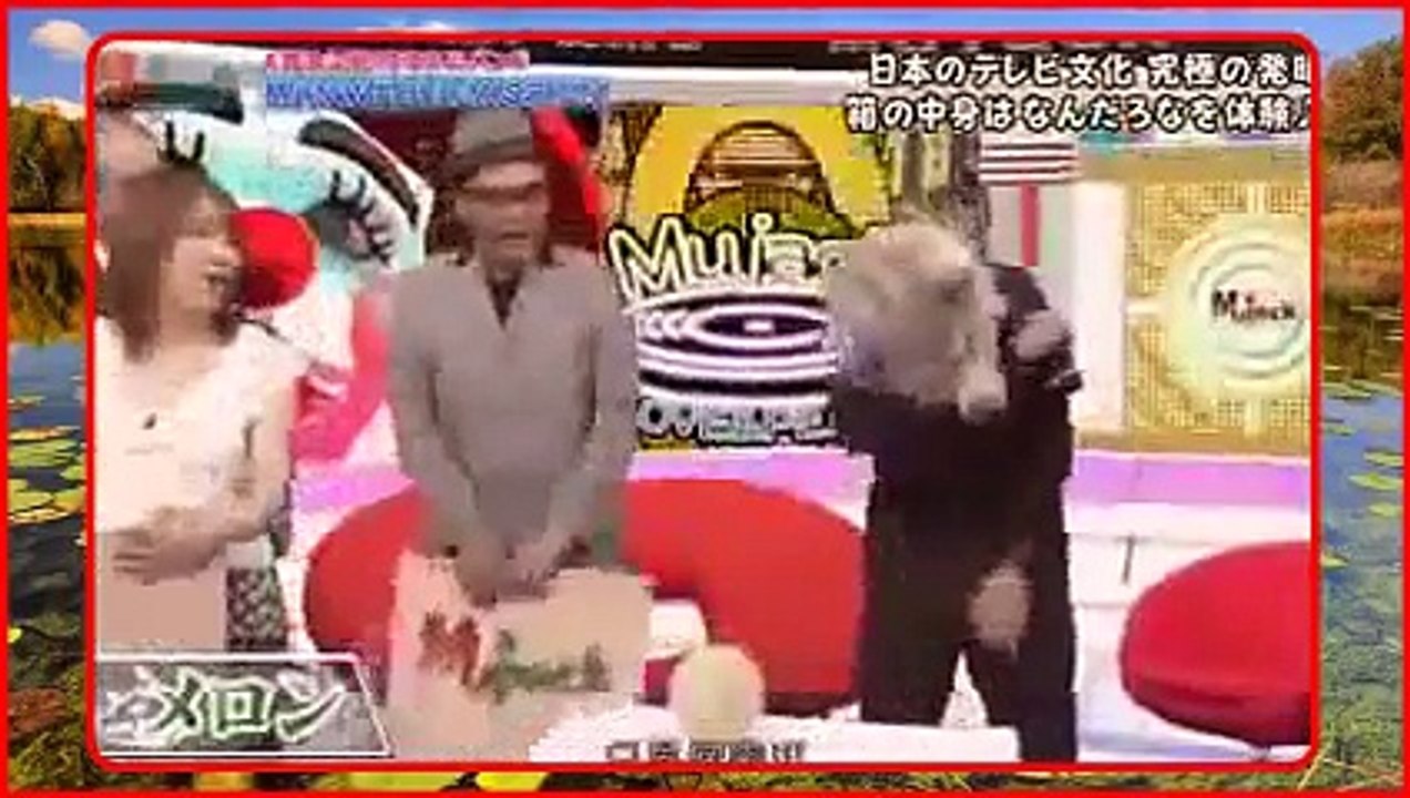 高橋みなみ＆トレンディエンジェル【番組】