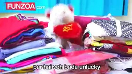 Very Cute Teddy Singing for Girls Party  Selection.