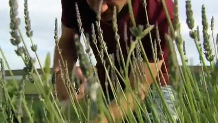 Couples Come Dine With Me (Tuesday November 24, 2015)