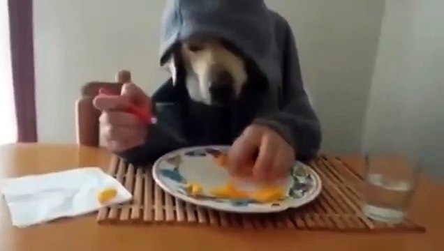 Прикол ! смеялась до слез !